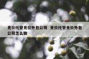 竞价托管竞价外包公司  竞价托管竞价外包公司怎么做