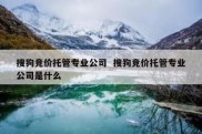 搜狗竞价托管专业公司  搜狗竞价托管专业公司是什么