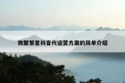 微聚繁星抖音代运营方案的简单介绍