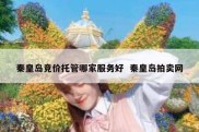 秦皇岛竞价托管哪家服务好  秦皇岛拍卖网