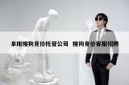 阜阳搜狗竞价托管公司  搜狗竞价客服招聘