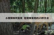 小视频如何变现  短视频变现的15种方法