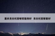 重庆竞价托管哪家服务好  竞价托管那里好