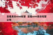 百度竞价sem托管  百度sem竞价托管公司