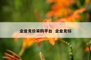 企业竞价采购平台  企业竞标