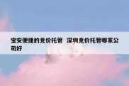 宝安便捷的竞价托管  深圳竞价托管哪家公司好