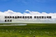 深圳具有品牌的竞价托管  竞价托管公司联系方式