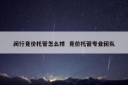 闵行竞价托管怎么样  竞价托管专业团队