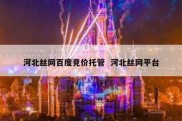 河北丝网百度竞价托管  河北丝网平台