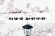 湖北竞价托管（竞价托管如何托管）