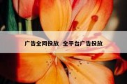 广告全网投放  全平台广告投放