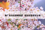 推广竞价托管哪家好  竞价托管优化公司