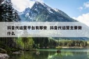 抖音代运营平台有那些  抖音代运营主要做什么