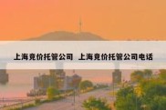 上海竞价托管公司  上海竞价托管公司电话