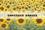 淄博神马竞价托管  淄博神马配送