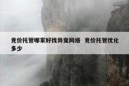 竞价托管哪家好找异变网络  竞价托管优化多少
