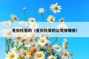 竞价托管的（竞价托管的公司有哪些）
