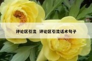 评论区引流  评论区引流话术句子