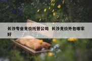 长沙专业竞价托管公司  长沙竞价外包哪家好
