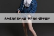 贵州度竞价账户托管  账户竞价托管哪里好