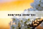 竞价推广的平台（竞价推广竞价）