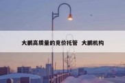 大鹏高质量的竞价托管  大鹏机构