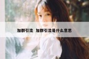 加群引流  加群引流是什么意思