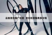 云南竞价推广托管  竞价托管服务多少钱