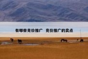 有哪些竞价推广  竞价推广的卖点