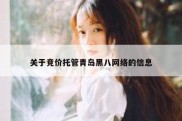 关于竞价托管青岛黑八网络的信息