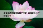 山东潍坊百度竞价推广托管  百度竞价推广托管公司