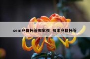 sem竞价托管哪家强  搜索竞价托管