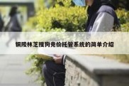 铜陵林芝搜狗竞价托管系统的简单介绍