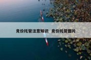 竞价托管注意知识  竞价托管图片