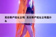 竞价账户优化公司  竞价账户优化公司是什么