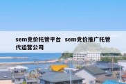 sem竞价托管平台  sem竞价推广托管代运营公司