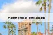 广州好的竞价托管  竞价托管那里好