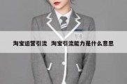 淘宝运营引流  淘宝引流能力是什么意思