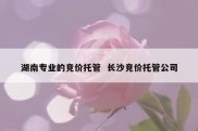 湖南专业的竞价托管  长沙竞价托管公司