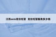 江苏sem竞价托管  竞价托管服务多少钱