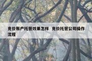 竞价账户托管效果怎样  竞价托管公司操作流程