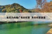 有实力的推广竞价托管  竞价托管渠道