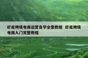 虾皮跨境电商运营自学全套教程  虾皮跨境电商入门完整教程