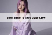 竞价托管是啥  竞价托管公司联系方式
