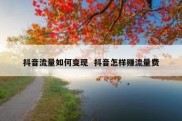 抖音流量如何变现  抖音怎样赚流量费