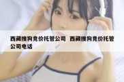 西藏搜狗竞价托管公司  西藏搜狗竞价托管公司电话