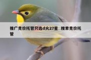 推广竞价托管只选d火27星  搜索竞价托管