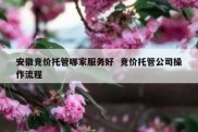 安徽竞价托管哪家服务好  竞价托管公司操作流程