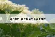 网上推广  新开饭店怎么网上推广