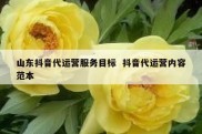 山东抖音代运营服务目标  抖音代运营内容范本